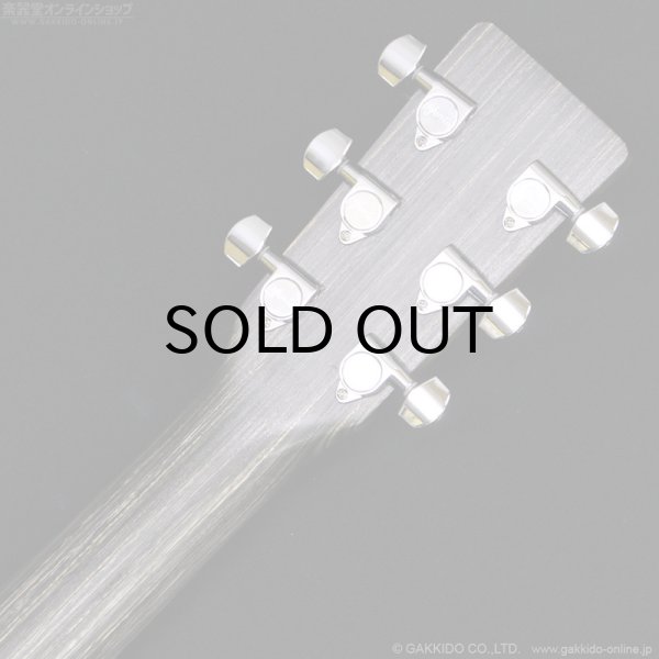 画像6: Martin D-X1 Black (6)