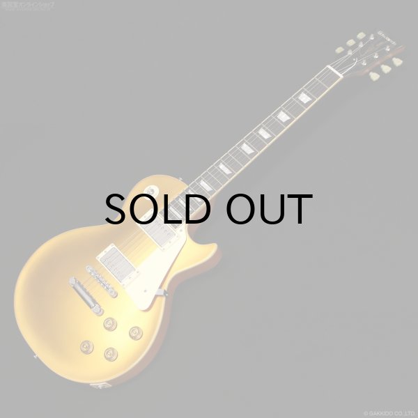 画像1: Edwards　E-LP-STD GO [Gold] (1)