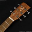 画像6: L.Luthier　Cofe [デジマート連動セール特価] (6)