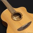 画像4: L.Luthier　Cofe [デジマート連動セール特価] (4)
