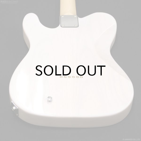 画像10: SCHECTER　PA-LS/TK [Blonde] (10)