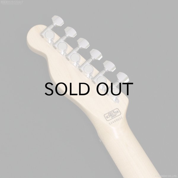 画像8: SCHECTER　PA-LS/TK [Blonde] (8)