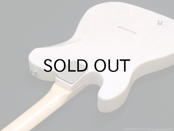 画像12: SCHECTER　PA-LS/TK [Blonde] (12)