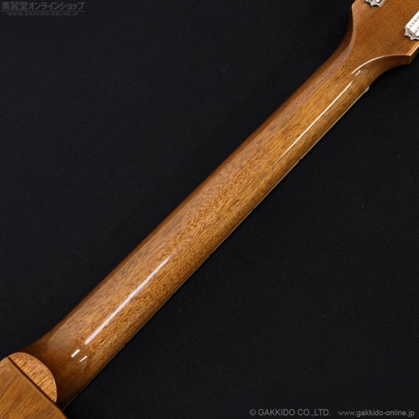 画像8: Gibson　Les Paul Standard 50s Plain Top [Pelham Blue Top] [半期決算セール特価] (8)