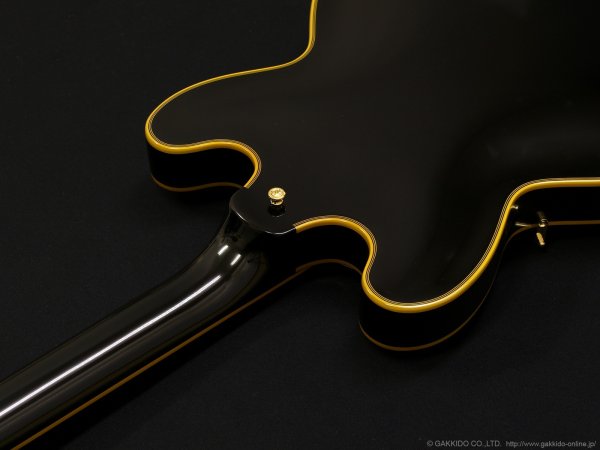 画像10: Edwards　E-SA-CTM [Black] (10)