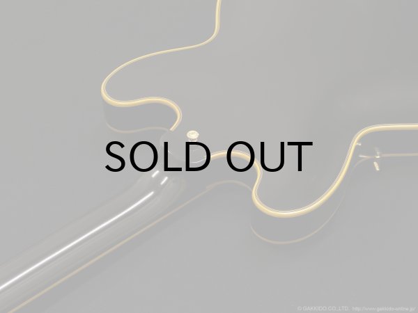 画像10: Edwards　E-SA-CTM [Black] (10)