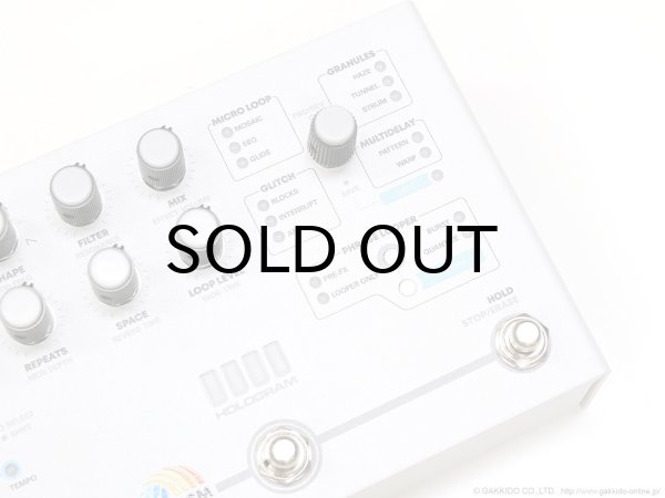 画像5: Hologram Electronics Microcosm 直輸入品 (5)