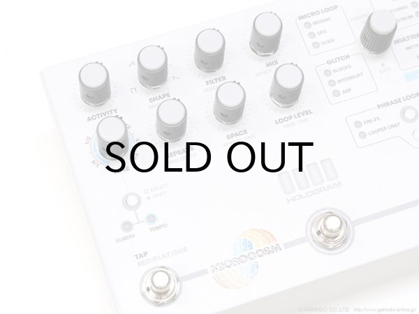 画像4: Hologram Electronics Microcosm 直輸入品 (4)