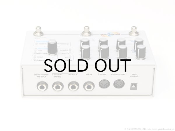 画像3: Hologram Electronics Microcosm 直輸入品 (3)