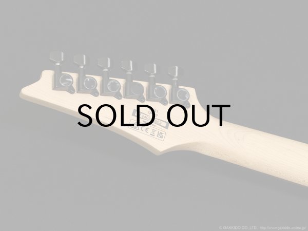 画像8: Ibanez　S561 [Seafoam Green Matte] (8)