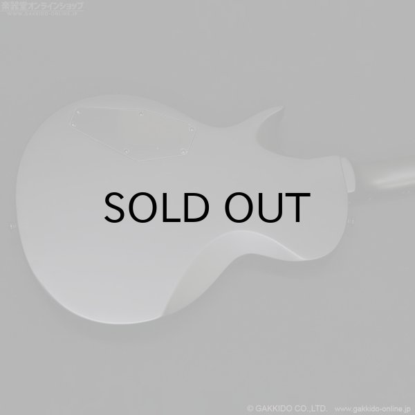 画像11: LTD　EC-201 [Black Stain] (11)