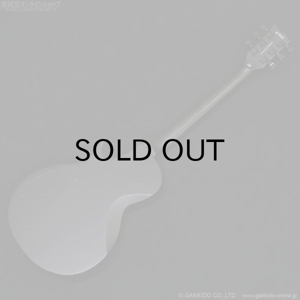 画像13: LTD　EC-201 [Black Stain] (13)