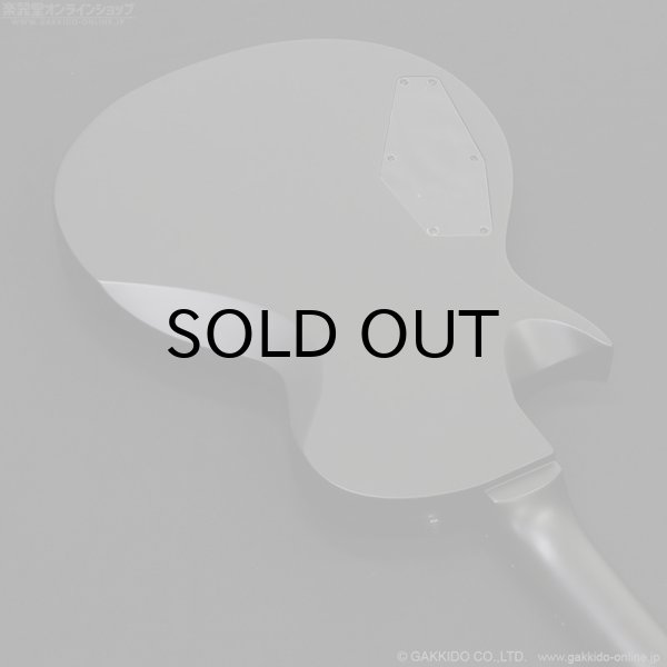 画像12: LTD　EC-201 [Black Stain] (12)