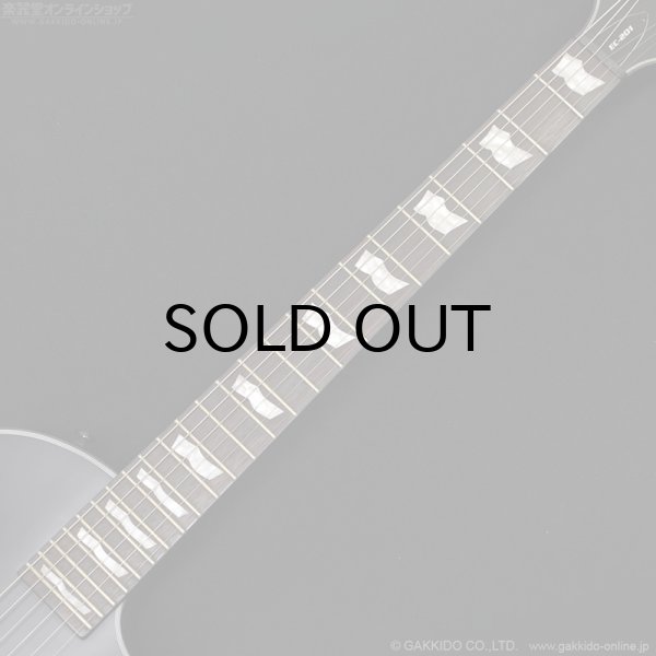 画像6: LTD　EC-201 [Black Stain] (6)