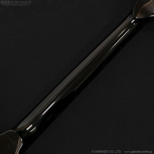 画像12: ESP　1999 MX-250 James Hetfield Signature [中古品] (12)