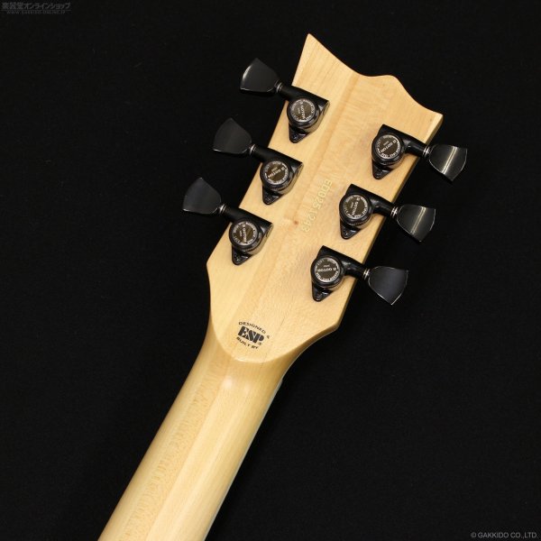 画像8: Edwards　E-VIPER-1H SNAT [Satin Natural] [半期決算セール特価] (8)