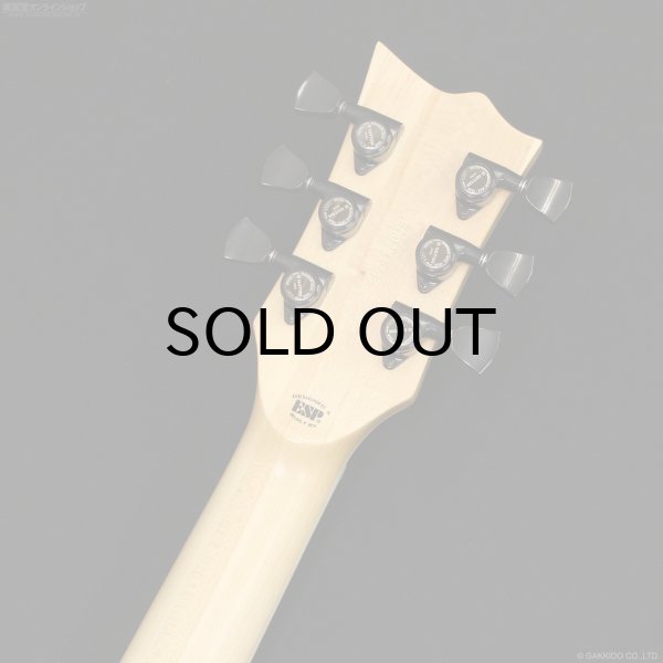 画像8: Edwards　E-VIPER-1H SNAT [Satin Natural] (8)