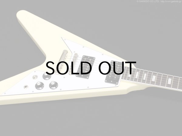 画像5: Edwards　E-FV-LTD VW [Vintage White] (5)