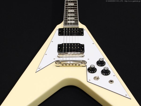 画像4: Edwards　E-FV-LTD VW [Vintage White] (4)