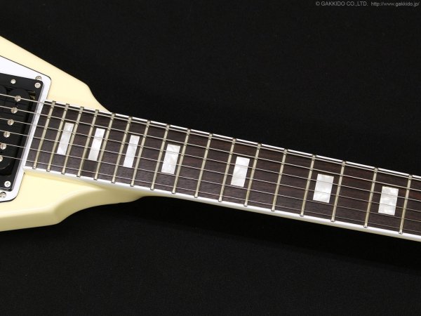 画像6: Edwards　E-FV-LTD VW [Vintage White] (6)