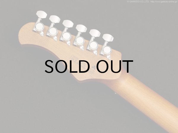 画像7: Bacchus　Global Series BSM-STD/RSM [Fire Red] [生産完了] (7)