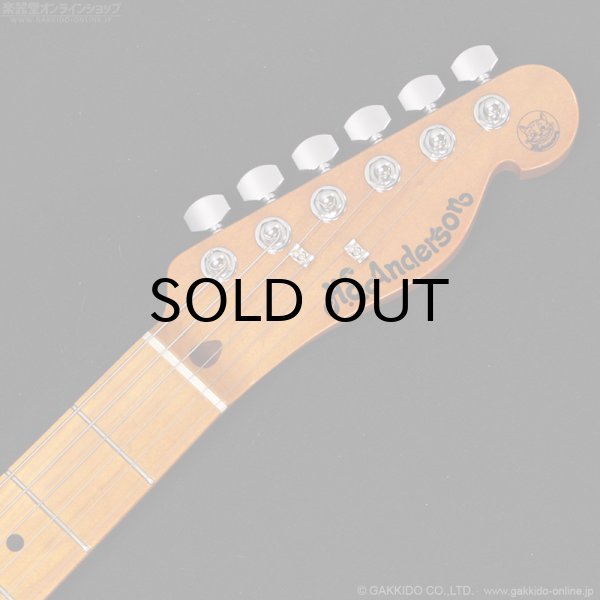 画像10: H.S.Anderson　HS-1 Mad Cat #25017 (10)