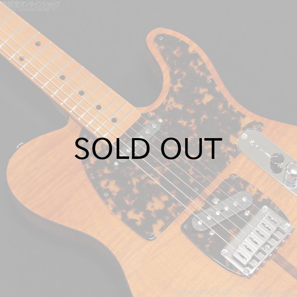 画像6: H.S.Anderson　HS-1 Mad Cat #25015 (6)