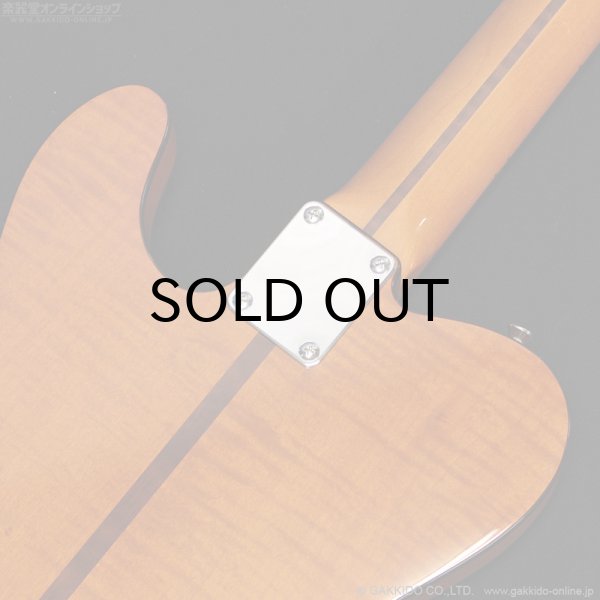 画像12: H.S.Anderson　HS-1 Mad Cat #25017 (12)