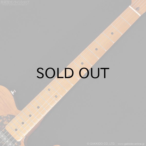 画像8: H.S.Anderson　HS-1 Mad Cat #25015 (8)