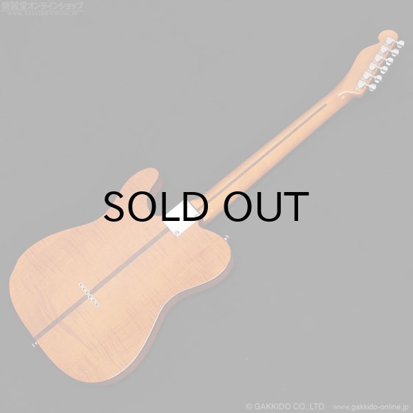 画像15: H.S.Anderson　HS-1 Mad Cat #25017 (15)