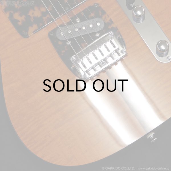 画像5: H.S.Anderson　HS-1 Mad Cat #25015 (5)