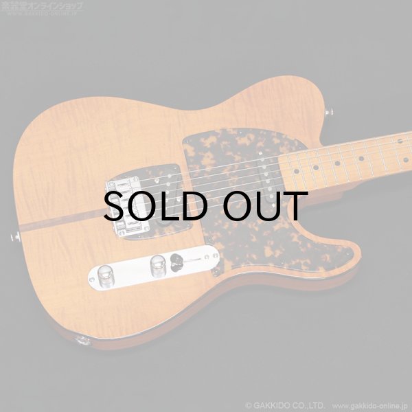 画像2: H.S.Anderson　HS-1 Mad Cat #25015 (2)