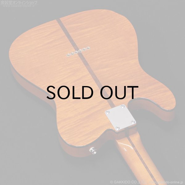 画像14: H.S.Anderson　HS-1 Mad Cat #25015 (14)