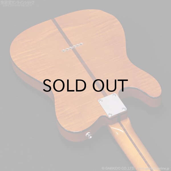 画像14: H.S.Anderson　HS-1 Mad Cat #25017 (14)