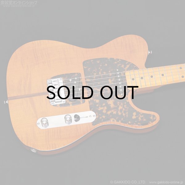 画像2: H.S.Anderson　HS-1 Mad Cat #25017 (2)