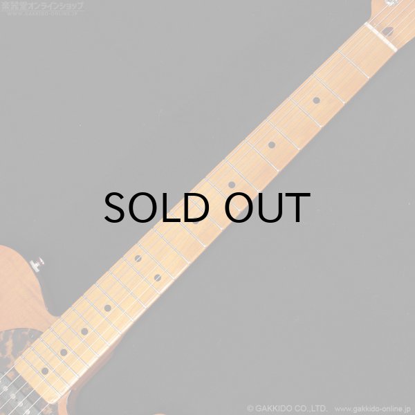 画像8: H.S.Anderson　HS-1 Mad Cat #25017 (8)