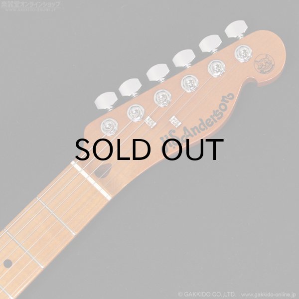 画像10: H.S.Anderson　HS-1 Mad Cat #25015 (10)