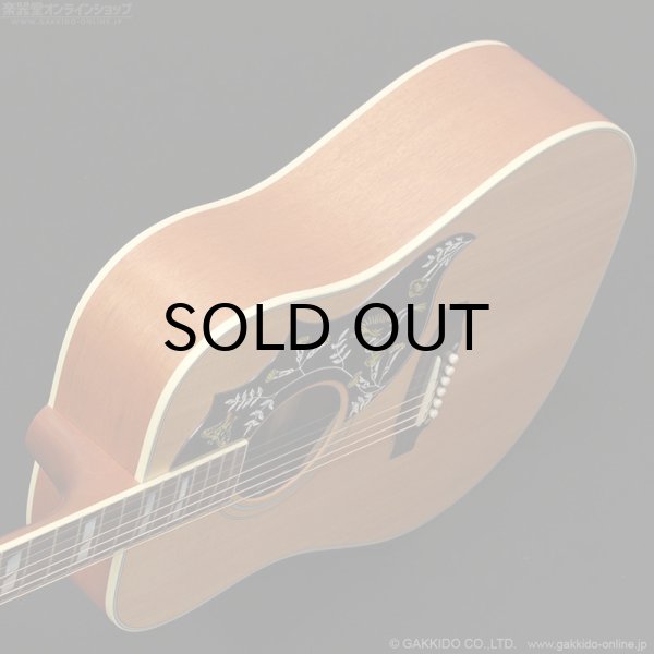 画像4: Gibson　Hummingbird Faded [Natural] [特価品] (4)