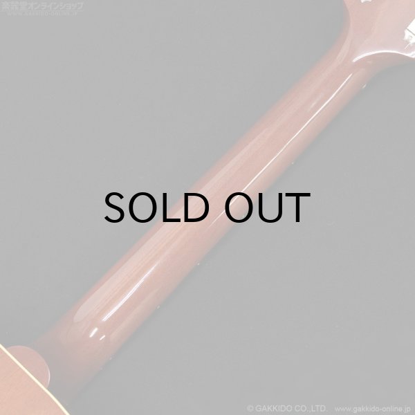 画像10: Epiphone　Texan - USA Collection [特価品] (10)