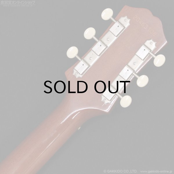 画像12: Epiphone　Texan - USA Collection [特価品] (12)