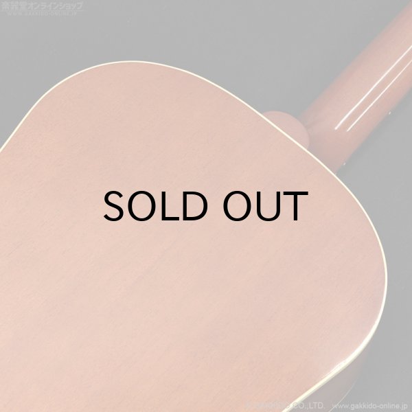 画像13: Epiphone　Texan - USA Collection [特価品] (13)