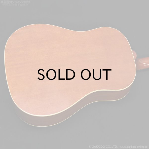 画像14: Epiphone　Texan - USA Collection [特価品] (14)