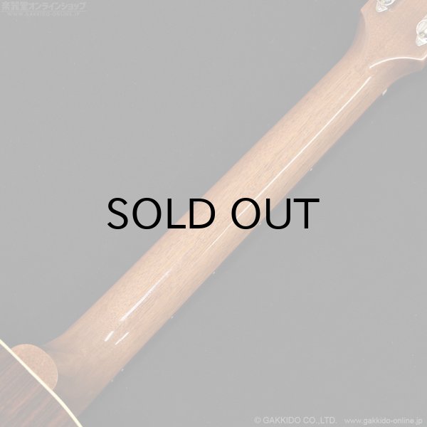 画像10: Gibson　J-45 Studio Rosewood 2022 [Antique Natural] [特価品] (10)