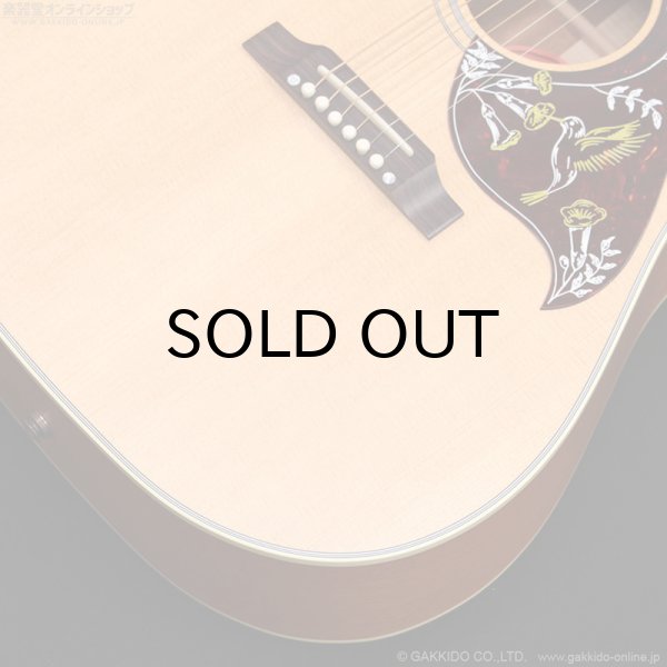 画像6: Gibson　Hummingbird Faded [Natural] [特価品] (6)