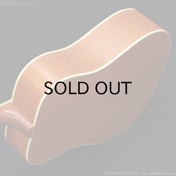 画像5: Gibson　Hummingbird Faded [Natural] [特価品] (5)