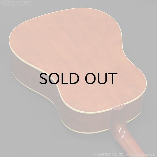 画像15: Epiphone　Texan - USA Collection [特価品] (15)