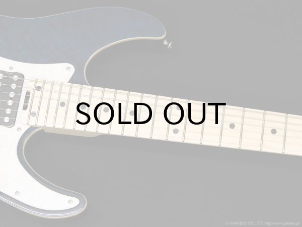 画像6: SCHECTER　SD-2-24-AL BLU/M [See-thru Blue] (6)