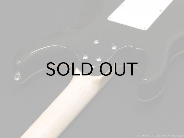 画像9: SCHECTER　SD-2-24-AL BLU/M [See-thru Blue] (9)