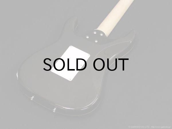 画像10: SCHECTER　SD-2-24-AL BLU/M [See-thru Blue] (10)