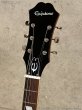 画像7: Epiphone　Casino [Natural] (7)